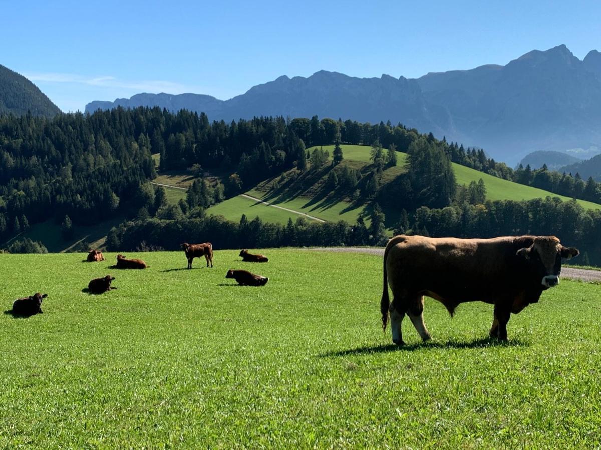 Moarhof Lägenhet Unken Exteriör bild