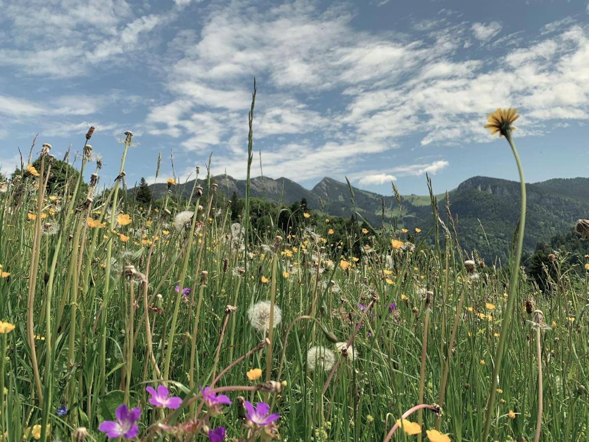 Moarhof Lägenhet Unken Exteriör bild