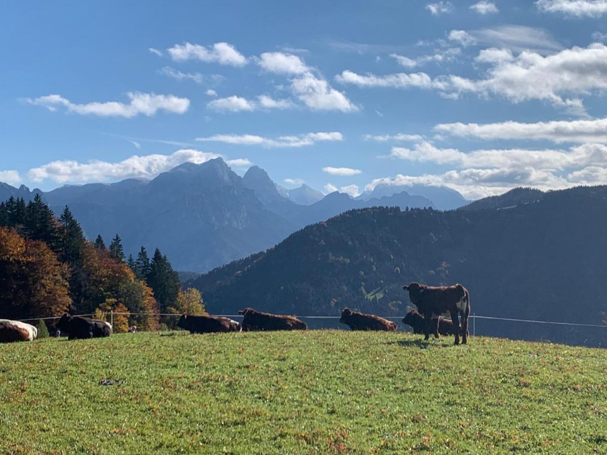 Moarhof Lägenhet Unken Exteriör bild